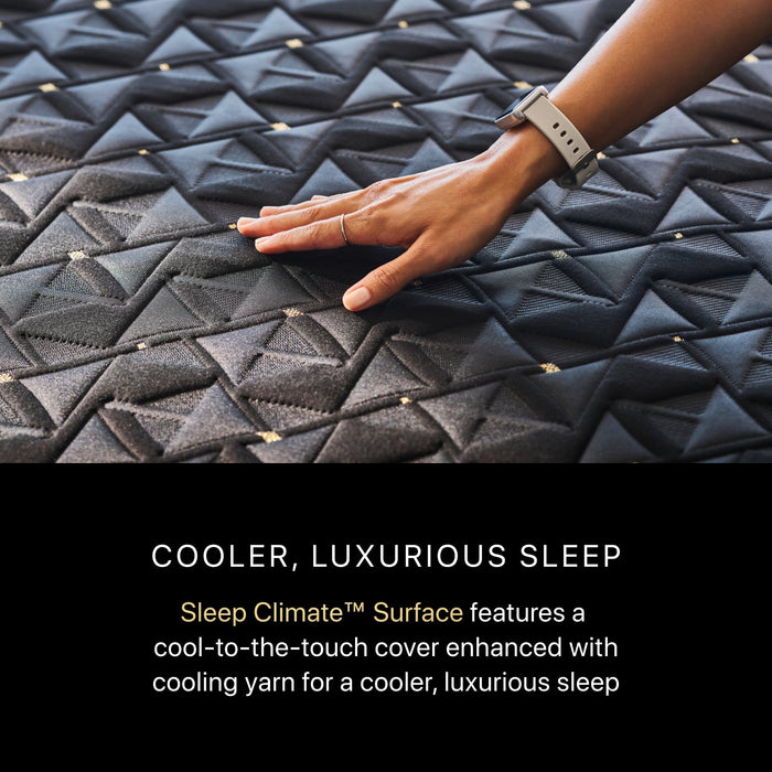 Beautyrest Black Hybrid Beautyrest Black Hybrid - Series Four Firm Apex Top / Twin XL