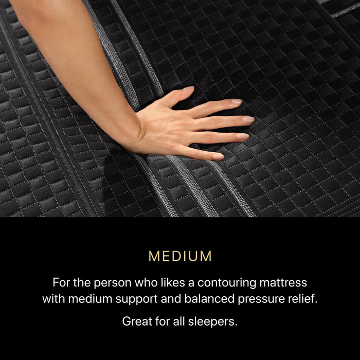 Beautyrest Black Hybrid Beautyrest Black Hybrid - Series One Medium / Twin XL