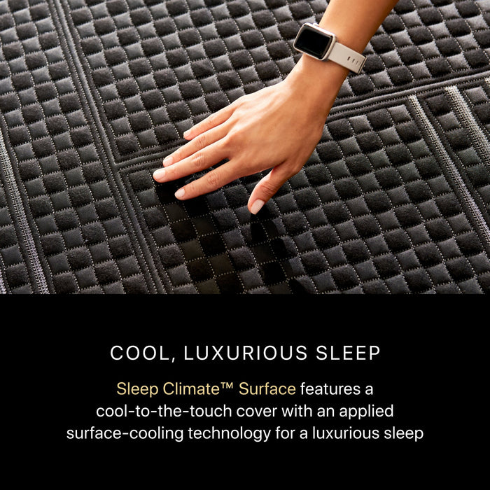 Beautyrest Black Hybrid Beautyrest Black Hybrid - Series One Plush / Twin XL