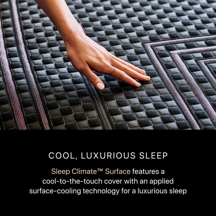 Beautyrest Black Hybrid Beautyrest Black Hybrid - Series Two Firm / Queen