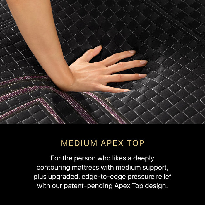 Beautyrest Black Hybrid Beautyrest Black Hybrid - Series Two Medium Apex Top / Full