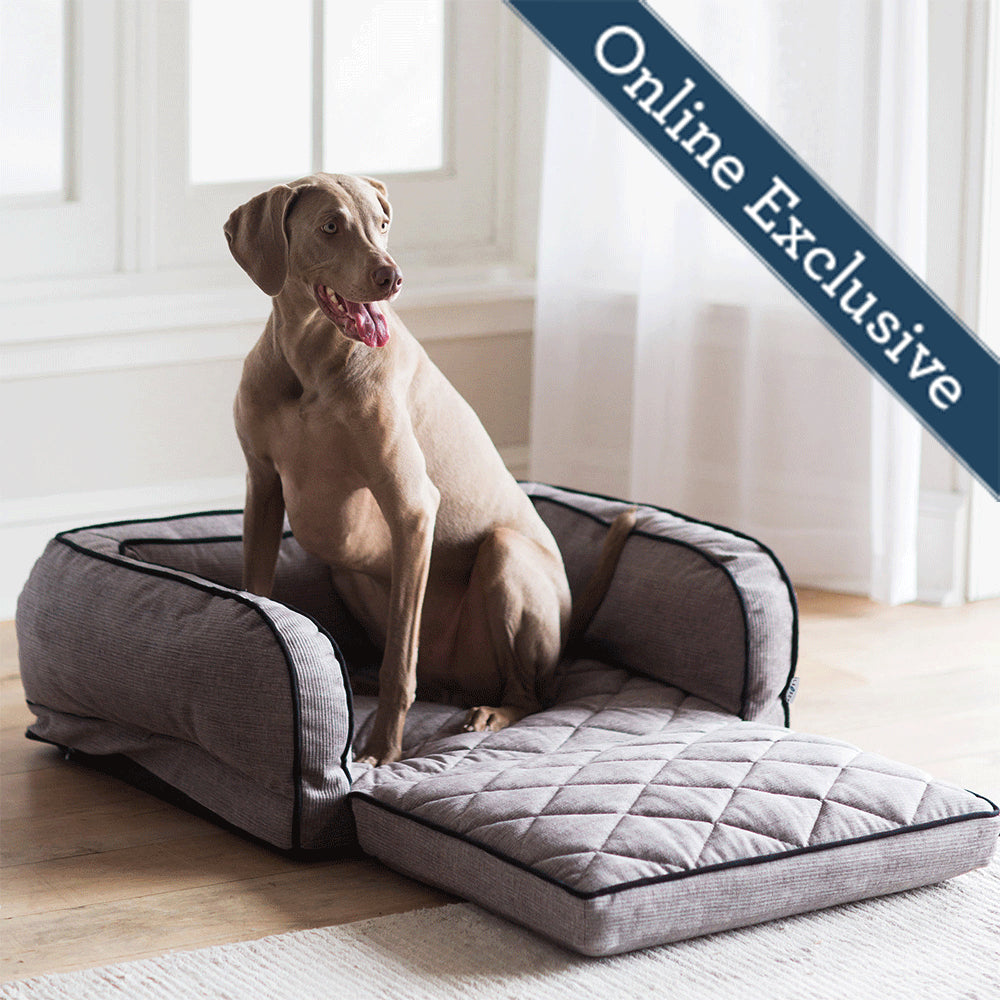 Outdoor Furniture > Pet Beds